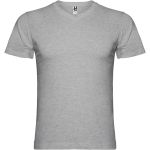 Samoyedo short sleeve men's v-neck t-shirt, Marl Grey (R65032U)