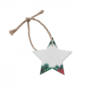 Seed paper Xmas ornament, White (Decorations)