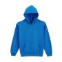 SOFTSTYLE(r) MIDWEIGHT FLEECE YOUTH HOODIE, Royal