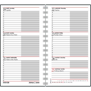 SP2 weekly agenda (Calendars)