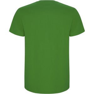 Stafford short sleeve kids t-shirt, Grass Green (T-shirt, 90-100% cotton)