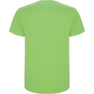 Stafford short sleeve kids t-shirt, Oasis Green (T-shirt, 90-100% cotton)