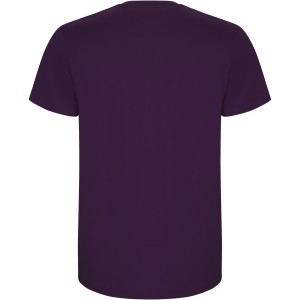 Stafford short sleeve men's t-shirt, Purple (T-shirt, 90-100% cotton)