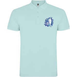 Star short sleeve men's polo, Mint (Polo short, mixed fiber, synthetic)