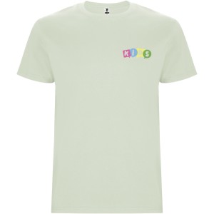 Stafford short sleeve kids t-shirt, Mist Green (T-shirt, 90-100% cotton)