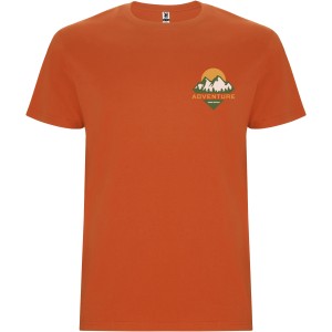 Stafford short sleeve men's t-shirt, Orange (T-shirt, 90-100% cotton)