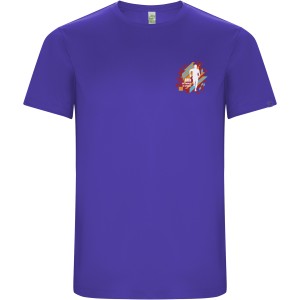 Imola short sleeve men's sports t-shirt, Mauve (T-shirt, mixed fiber, synthetic)