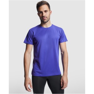 Imola short sleeve men's sports t-shirt, Mauve (T-shirt, mixed fiber, synthetic)