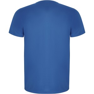Imola short sleeve men's sports t-shirt, Royal (T-shirt, mixed fiber, synthetic)