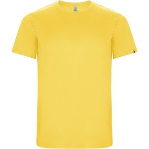 Imola short sleeve men's sports t-shirt, Yellow (T-shirt, mixed fiber, synthetic)