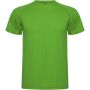 Montecarlo short sleeve kids sports t-shirt, Green Fern