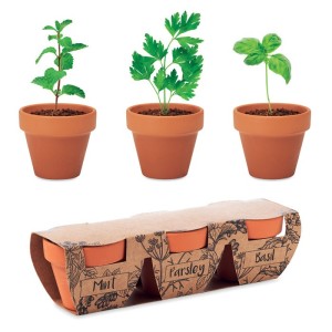 Terracotta 3 herb pot set (Gartenarbeit)