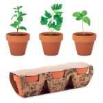 Terracotta 3 herb pot set, Wood <font size=1>[ENG]</font> (MO6145-40)