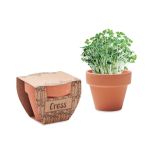 Terracotta pot cress seeds, Wood <font size=1>[ENG]</font> (MO2219-40)
