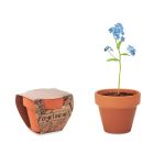 Terracotta pot 'forget me not', Wood <font size=1>[ENG]</font> (MO6146-40)