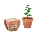 Terracotta pot mint seeds, Wood <font size=1>[ENG]</font> (MO2218-40)