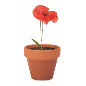 Terracotta pot 'poppy' (Gartenarbeit)