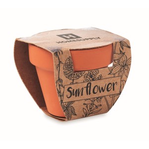 Terracotta pot 'sunflower' (Gartenarbeit)