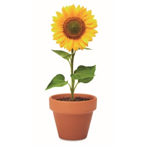 Terracotta pot 'sunflower' (Gartenarbeit)