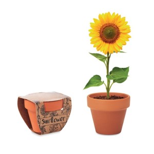 Terracotta pot 'sunflower' (Gartenarbeit)