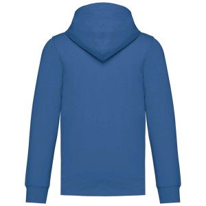 UNISEX FULL ZIP HOODIE, Light Royal Blue (Pullovers)