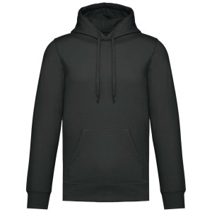 UNISEX HOODIE SWEATSHIRT, Dark Grey (Pullovers)