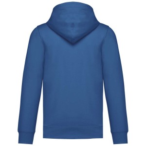 UNISEX HOODIE SWEATSHIRT, Light Royal Blue (Pullovers)