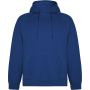 Vinson unisex hoodie, Royal