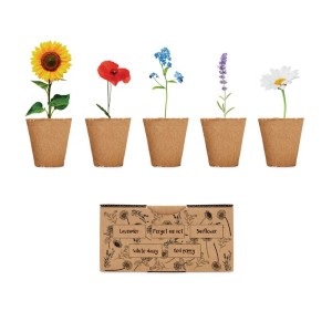 Flowers growing kit, Beige <font size=1>[ENG]</font>