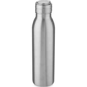 Harper 700 ml Sportflasche aus Edelstahl mit Metallschlaufe,