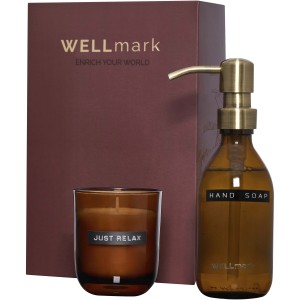 Wellmark Discovery 250 ml hand soap dispenser and 150 g scen <font size=1>[ENG]</font>