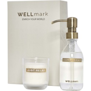 Wellmark Discovery 250 ml hand soap dispenser and 150 g scen <font size=1>[ENG]</font>