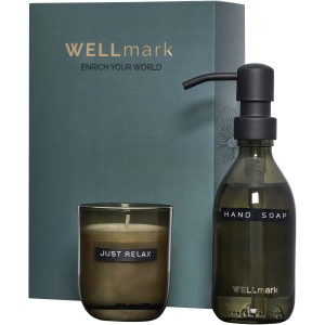 Wellmark Discovery 250 ml hand soap dispenser and 150 g scen <font size=1>[ENG]</font>